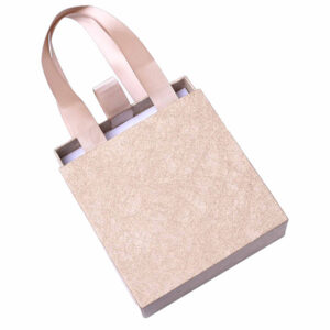 Caja Regalo Bolsa 10x10cm Beige (1 pza)